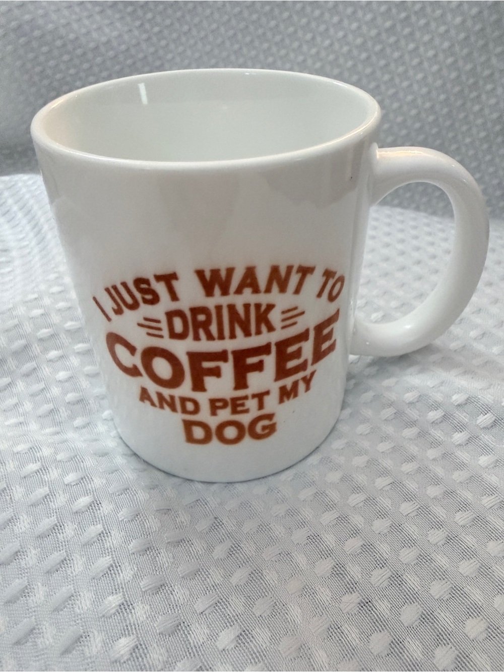 White Coffee Mug - I Just Want to Drink Coffee and Pet My Dog